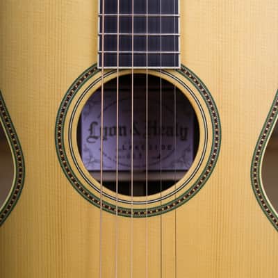 Lyon & Healy Lakeside Parlor - Indian Rosewood #001 image 3