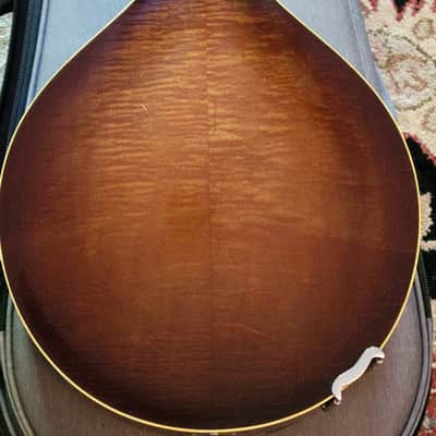 Northfield Mandola 2025 image 3