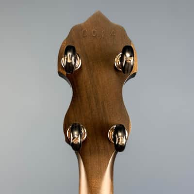 The Vega Avett Star Signature Banjo by Deering image 20
