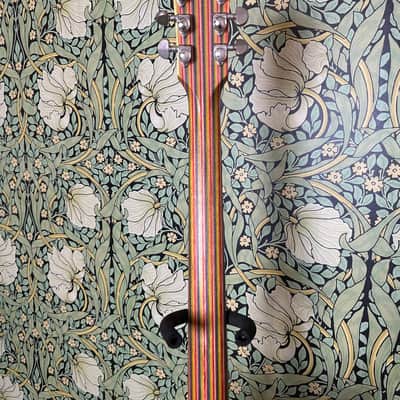 Gibson SG Zoot Suit 2009 Rainbow image 13
