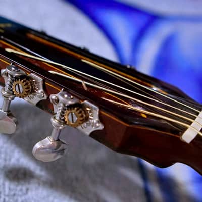 2020 Hippner Dabema Acoustic Steel String Guitar Auditorium - OM with Fishman Sonitone Pickup image 21