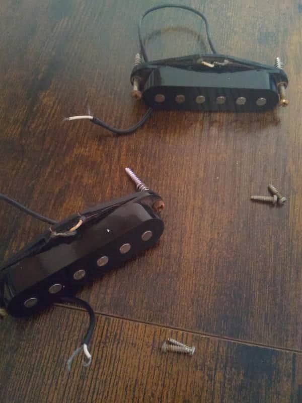 1980s Kramer Focus 6000 Alnico Single Coil Pickups image 1