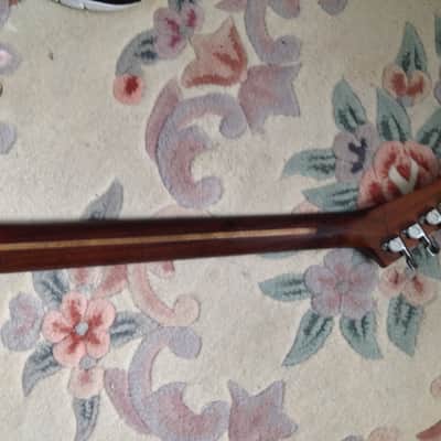 Original Waysted Guitarist Ronnie Kayfield's The "Star" Guitar "One of a Kind" image 13
