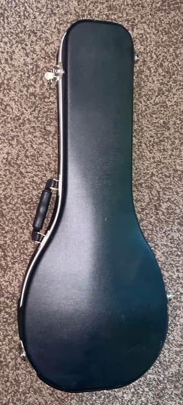 Roadrunner abs Molded Mandolin Case image 1