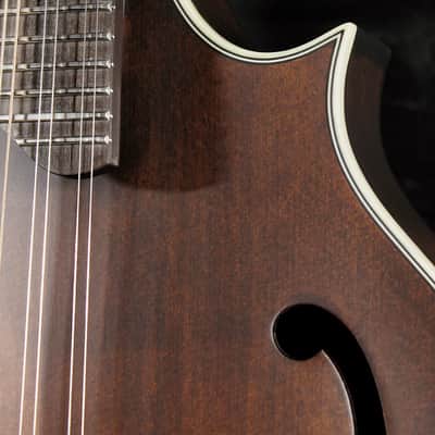 Eastman MD315 F-Style Mandolin Solid Wood / Hand Crafted image 11
