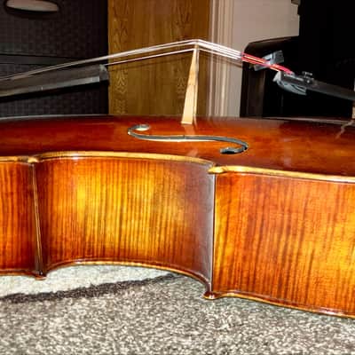 Maciej Lacek Cello Nowy Targ, Poland 2014 image 5
