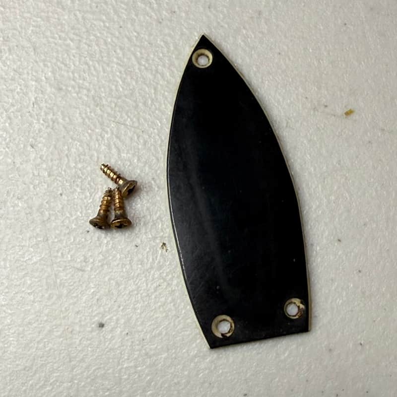 Gretsch Long Truss Rod Cover with Screws