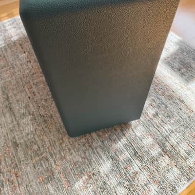 Bluesbreaker Style 2x12 Combo Cabinet (Buzzaro Cab) image 3
