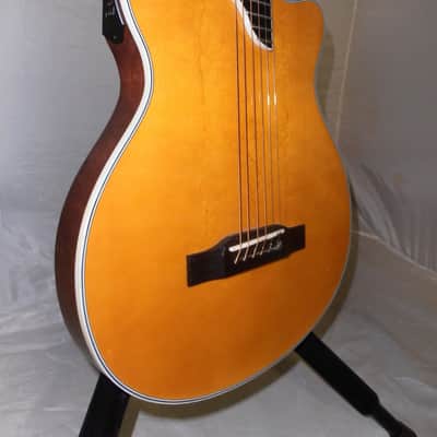 Epiphone SST Coupe 2018 - 2019 - Antique Natural image 7