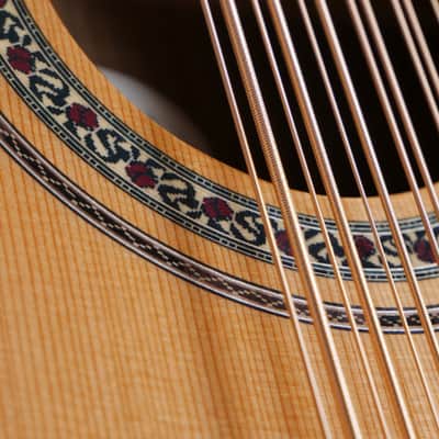 Oscar Schmidt OH52SE Acoustic-Electric Bajo Sexto w/ Gig Bag - Solid Cedar & Macassar Ebony image 6