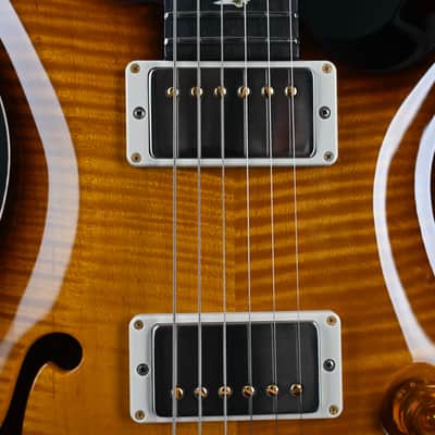 PRS DGT Semi-Hollow w/ Birds 10-Top McCarty Tobacco Sunburst #495 image 6