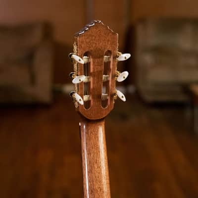 Ortega RCE159SN Performer Series Solid Cedar Top  Mahogany Neck Cutaway Nylon 6-String Classical Acoustic-Electric Guitar w/Gig Bag image 17