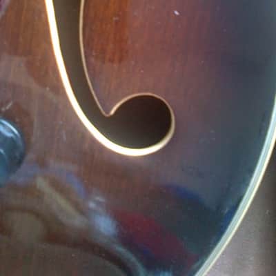 ELK Semi-Hollowbody 1960's Walnut image 8