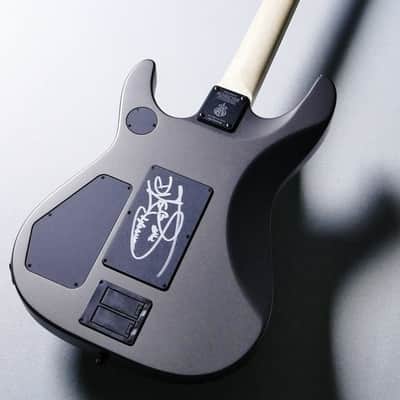 Schecter  USA Custom Shop DJ ASHBA Charcoal Gray 【Signed】【Sixx AM】【Guns N' Roses】 image 9
