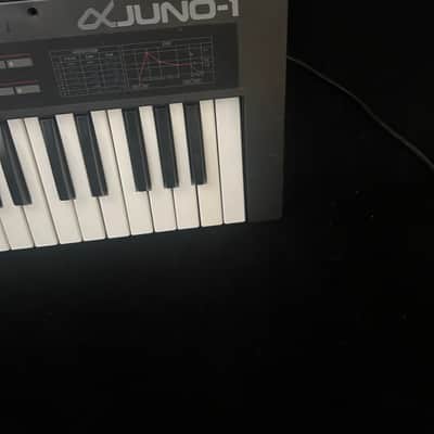 Roland Alpha Juno-1 image 5