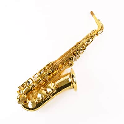 Selmer Paris 52AXOS Professional Alto Saxophone - (Competition Demo / Open Box Model) image 3