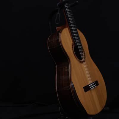 Jeroen Hilhorst Guitar No. 50 2003 - French Polish image 5