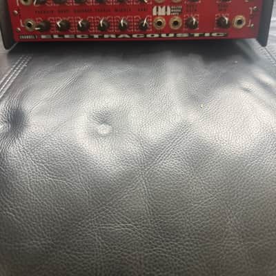 Walter Woods electric acoustic BASS amp green light image 1