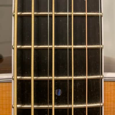 Taylor Custom 8-String Baritone (with pickups) 2016 image 15
