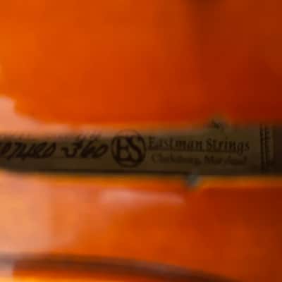 Eastman Music 4/4 Acoustic Violin (similar to model VL100) image 23
