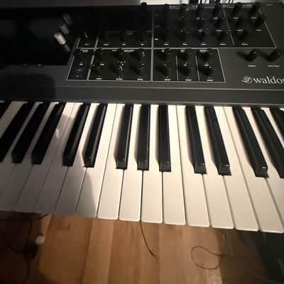 Waldorf Quantum 61-Key Hybrid Synthesizer 2017 - Present - Black image 10