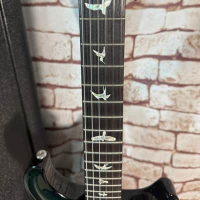 PRS Custom 24 Sprayer's Choice - DMO ATA- Black Back image 9