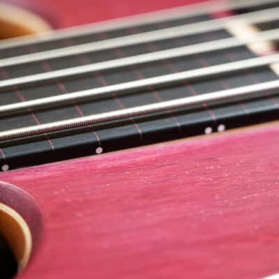 Fodera Compito Tribute Bass Used image 11