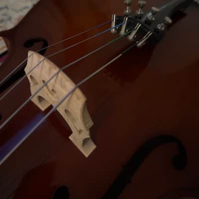 Shimro (St Antonio) Cello (Specially Handmade) with bow and soft case image 4