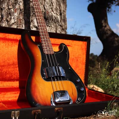Fender Precision Bass Rosewood Fretboard 1977 | Sunburst image 2