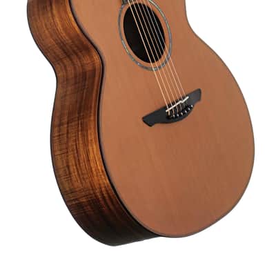 Avalon ARDRI L1 350C Guitar #2454 image 3