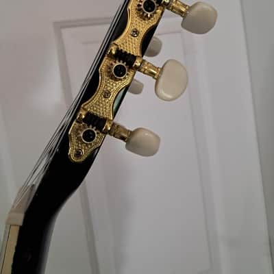 Esteban Limited Edition Spanish Rosas A/E Classical Guitar image 14