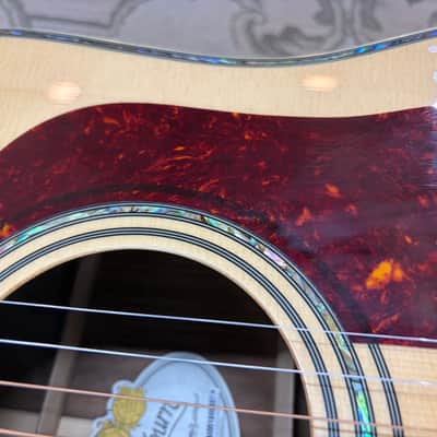 Washburn D-30S acoustic new - gloss image 3