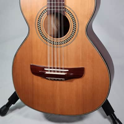 Fortaleza F10 Fullbody Bajo Quinto w/Gigbag image 2