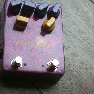 Tsakalis Audioworks "Experience Fuzz Octave" image 5
