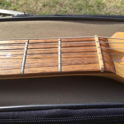 Godin Exit 22 S USA / Canada Mahogany Electric Guitar W/Bag image 15