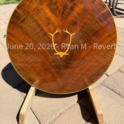 Stelling Staghorn 1989 - Walnut image 4