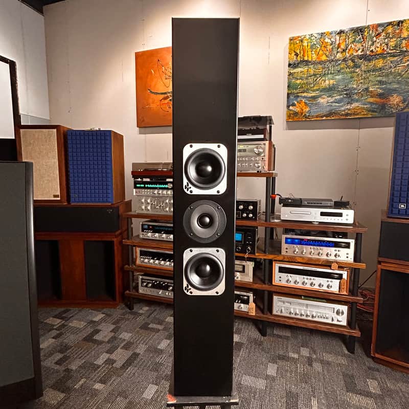 Immagine Totem Acoustic Tribe III Surround Speaker - 1