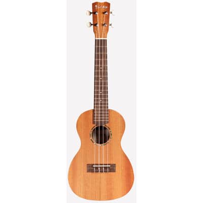 Cordoba Protege U1 Concert Ukulele image 2