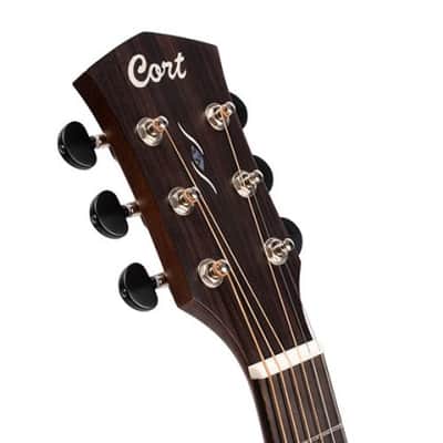 Cort COREOCOPLB Venetian Cutaway Solid Blackwood Top 6-String Acoustic-Electric Guitar w/Deluxe Case image 12