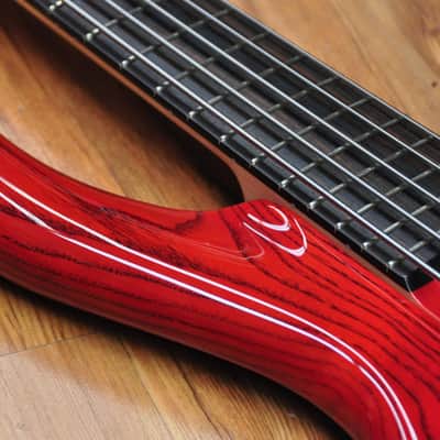 F Bass BN5 Faded Red image 9