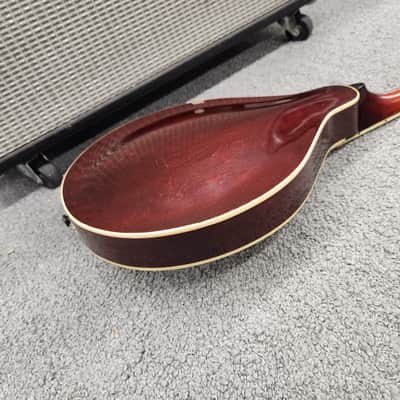 Gibson A3 mandolin 1919 - Ivory (White top) with case image 16