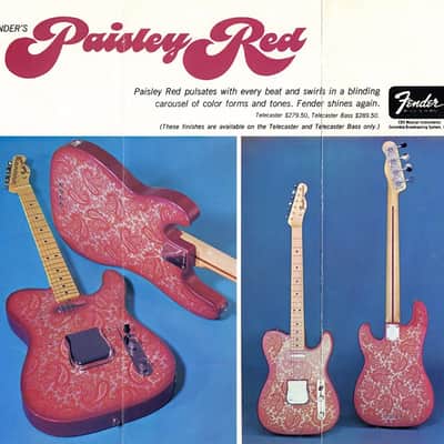 Fender Telecaster Bass 1968 Paisley image 16