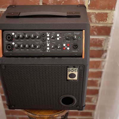 Raezer's Edge  One-6 COMBO Speaker Cabinet image 2