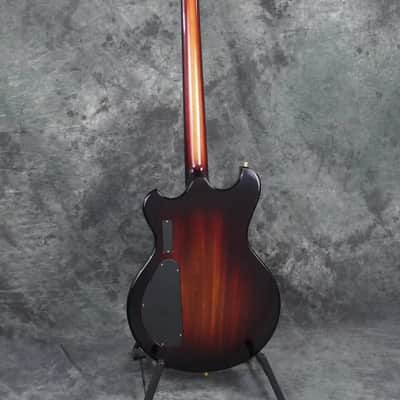 Alembic Skylark 6 String 25.5 inch Long Scale Electric Guitar with Case image 10