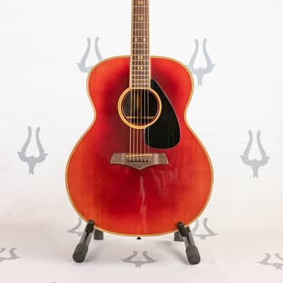 Daion Year Series '82 Six String Acoustic image 1