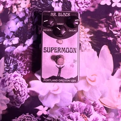 Mr. Black Supermoon Reverb | Reverb