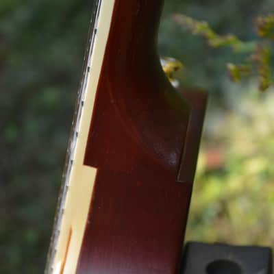 2018 Epiphone Les Paul Traditonal PRO III, 60's Goldtop w/Coil Splitting and New Cosmetic mods, New Set-Up & New Garry Brown Hardshell Case image 11