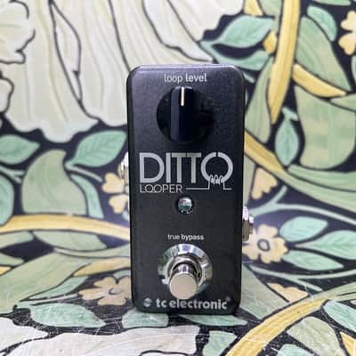 TC Electronic Ditto - Used image 2