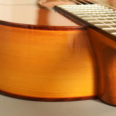 Flamenco Concert Guitar Ayamonte Model "La Canastera" - "The Basket Maker" image 21