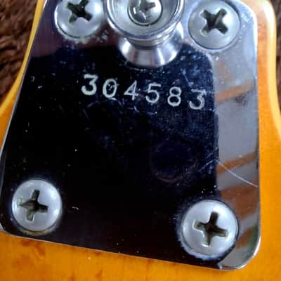 Very Rare Vintage Eko Barracuda Thinline Model 290 Made In Bella Italia image 7